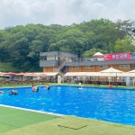 도그베이송추 수영장1