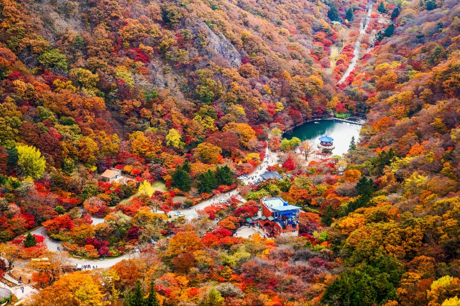우화정(내장산)