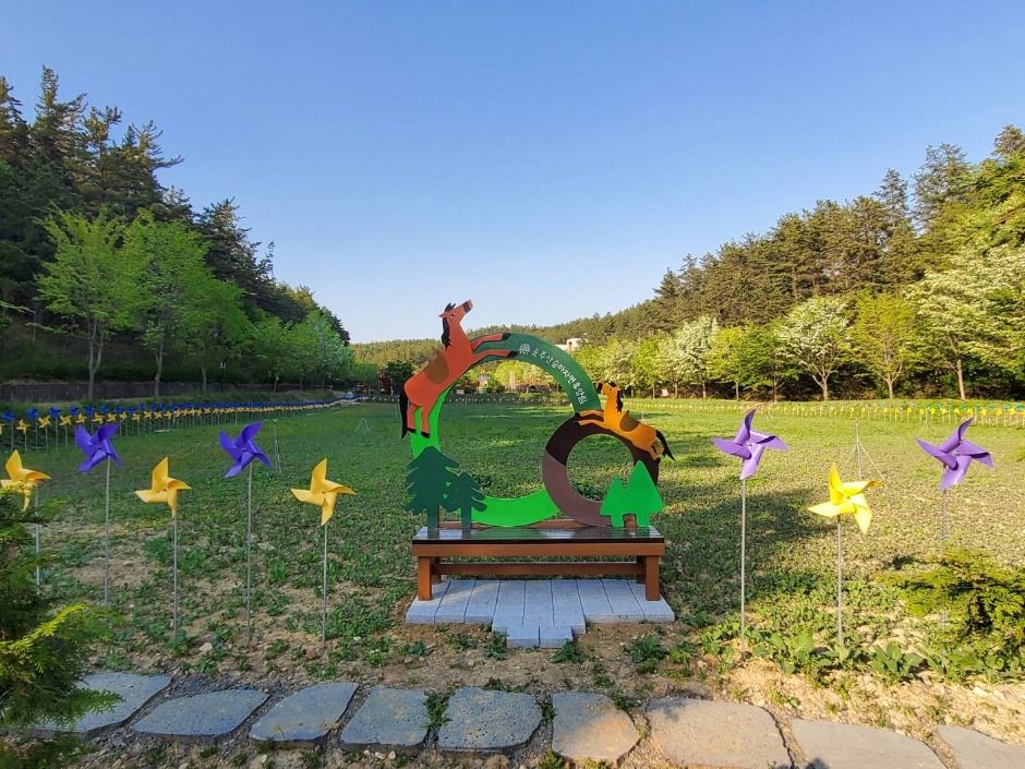 雲住山乗馬自然休養林