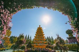 2025 익산천만송이 국화축제 5