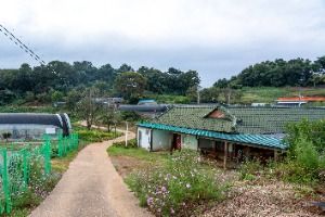 충남 서산빛들마을 사진 6