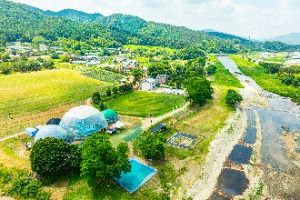 3577778 image3 1 예스키즈존 탐험대 : 실패 없는 육아여행