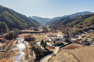 삼척 가시오가피마을