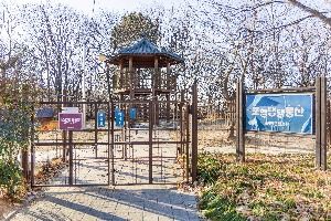 포항_포항댕댕동산 (2) 미리보기