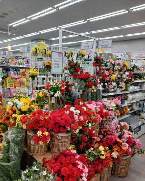 DAISO Hongdae Entrance Branch[Tax Refund Shop](다이소 홍대입구점)