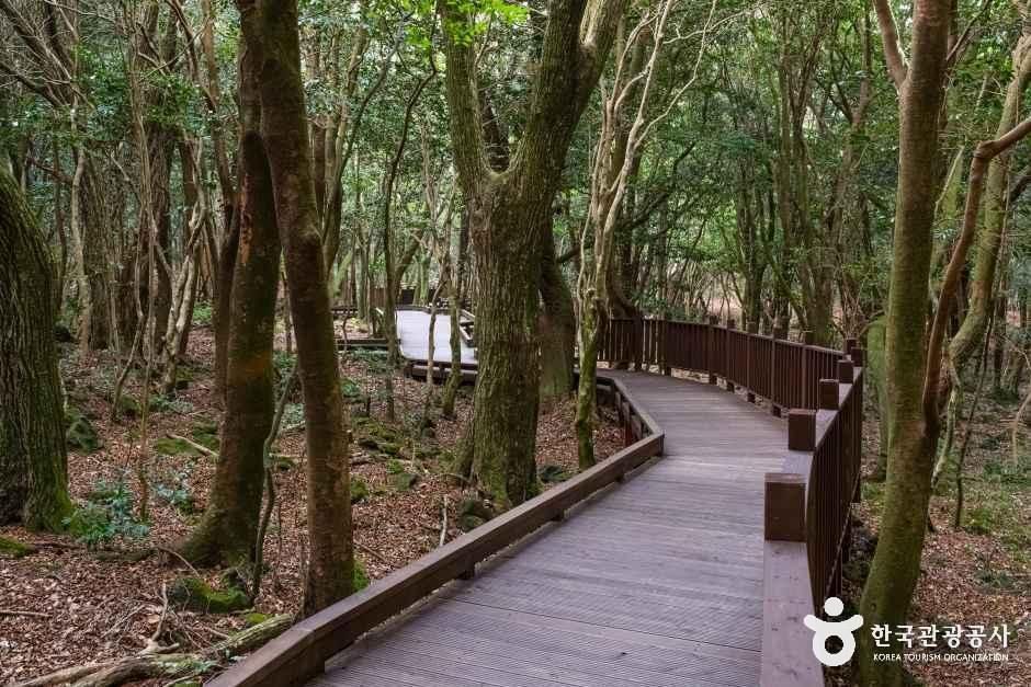 西归浦治愈森林