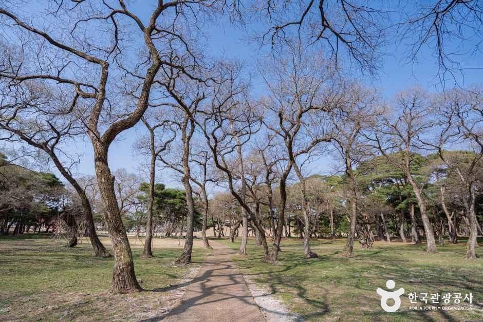 경북_경주_경주 오릉_외부_2.jpg