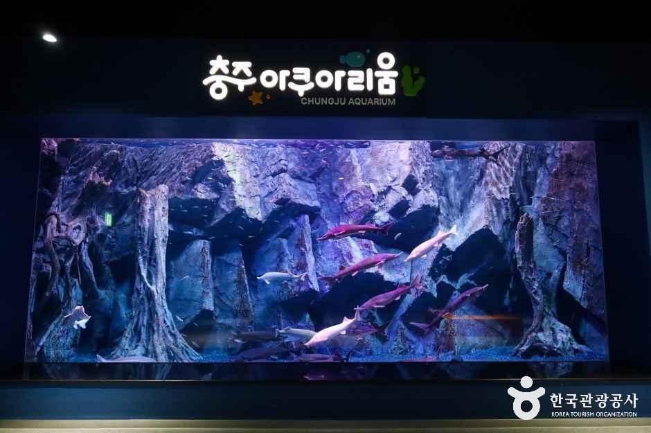 충주아쿠아리움