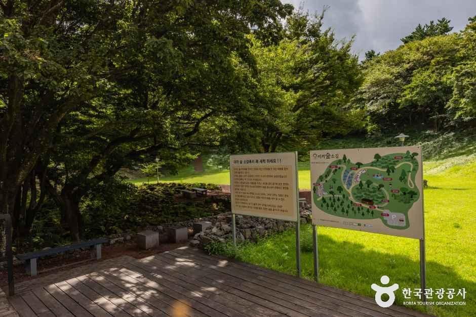 제주_이끼숲소길 (14).jpg