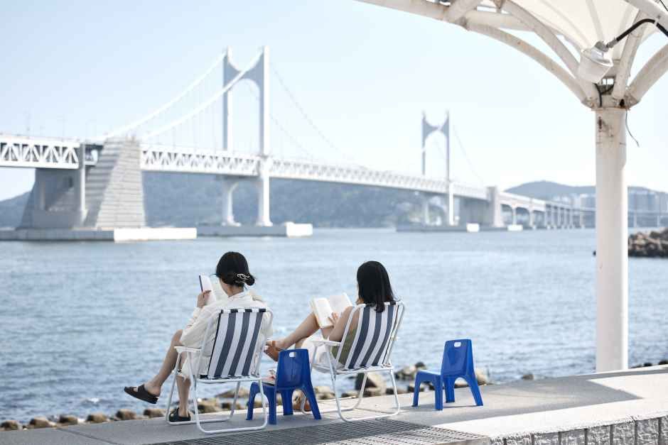 2026 부산바다도서관