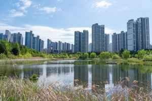 세병호