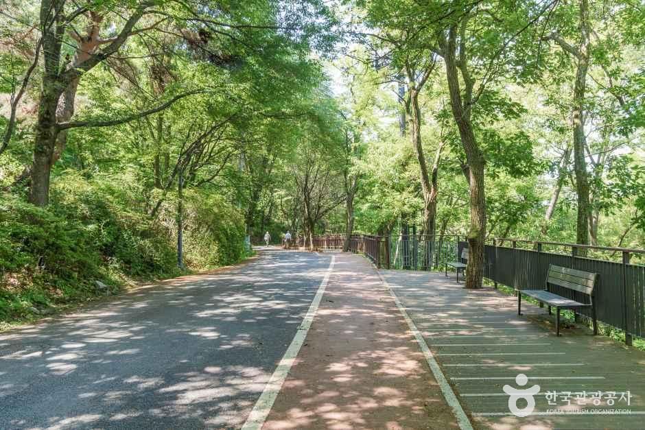 망우산(서울)
