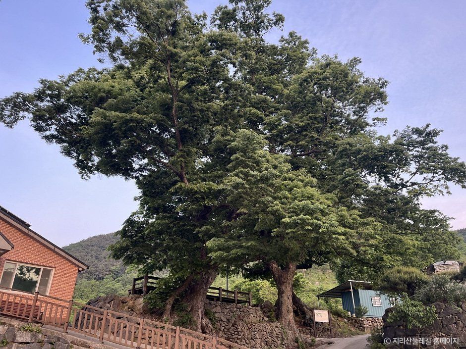 [지리산둘레길] 금계-동강