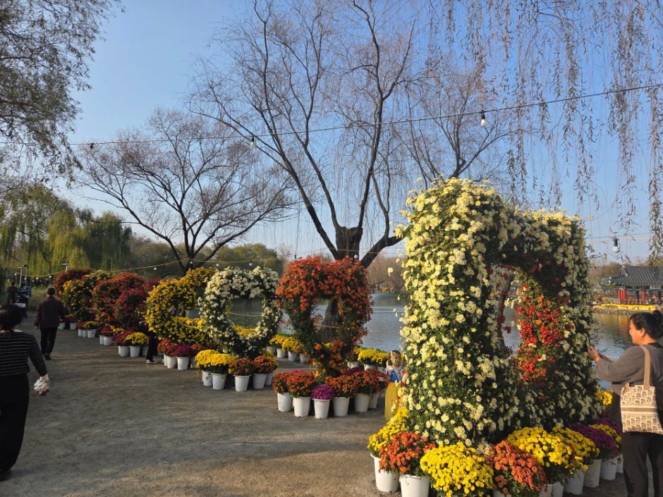 Festival image 10