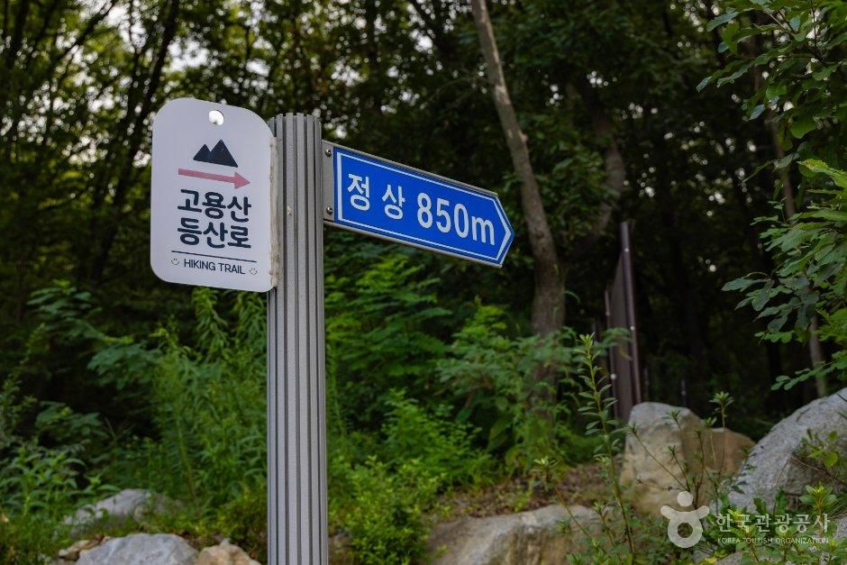 고용산(고룡산) 사진 3