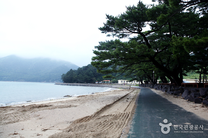 명사해수욕장 명사해수욕장