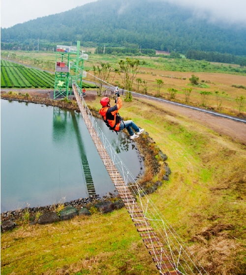 济州高空飞索