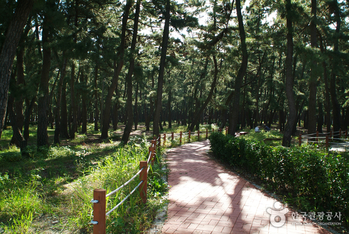 연곡해변(연곡해수욕장) 연곡해변(연곡해수욕장)
