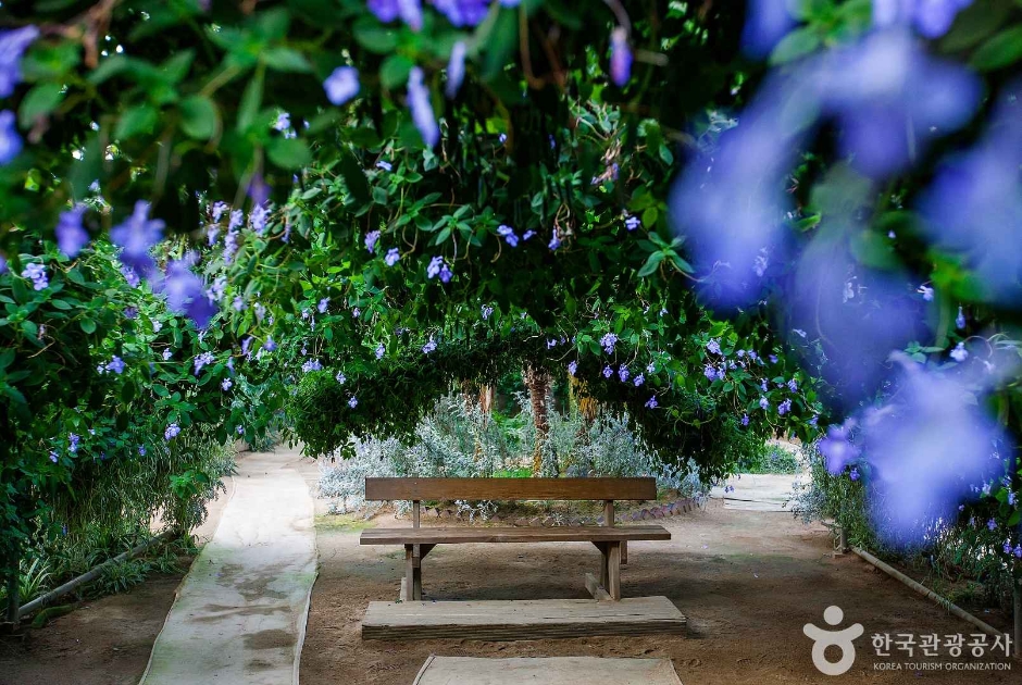 World Flower Botanical Garden in Asan