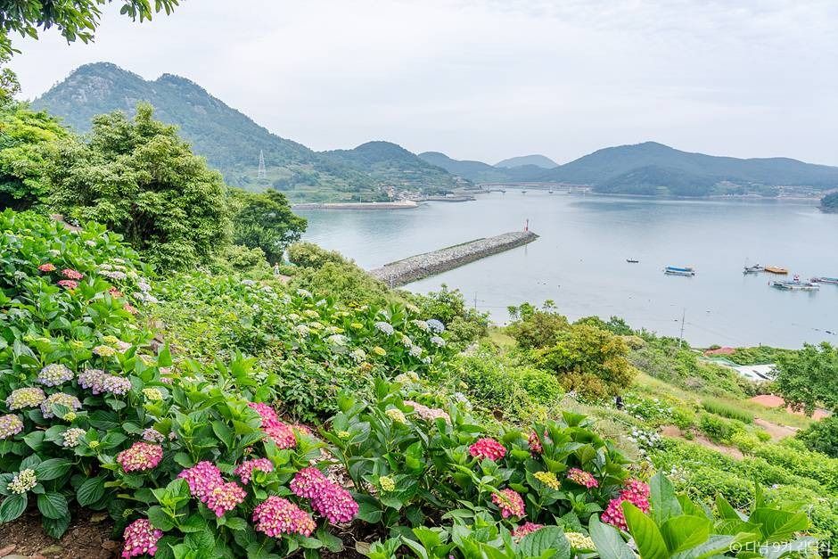 治愈公园 SSOOKSEOM(艾岛)