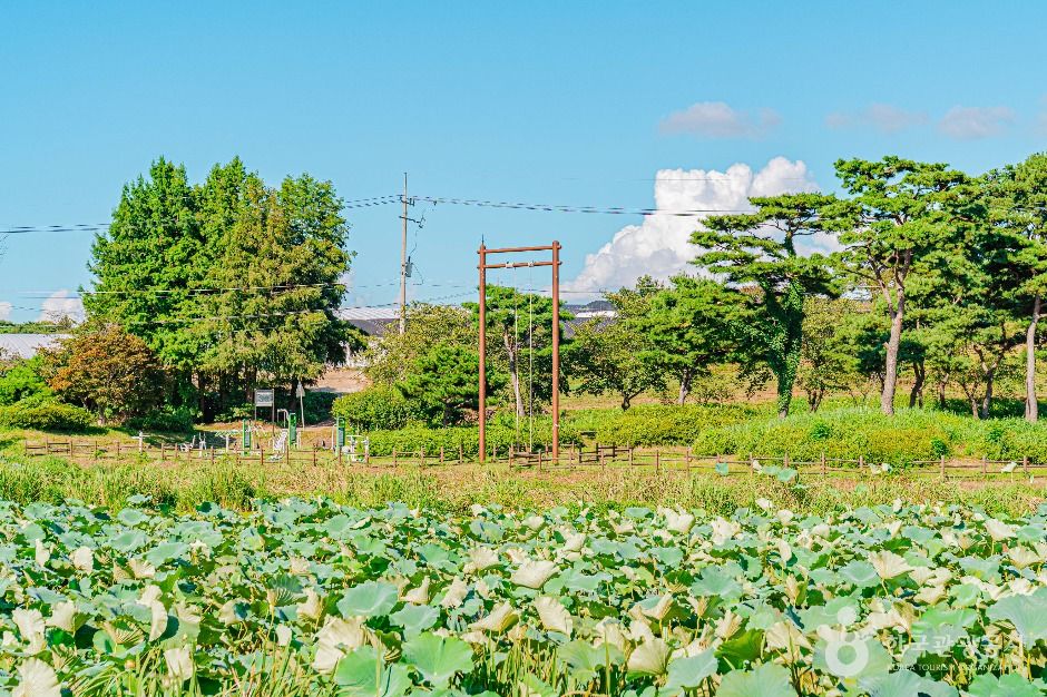 望月公园