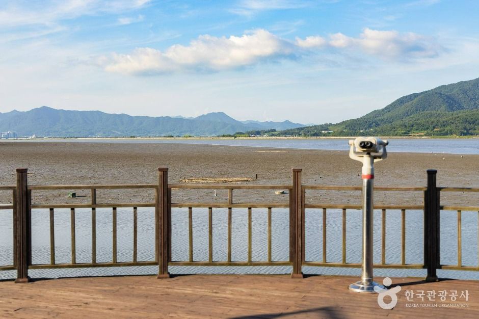 康津湾