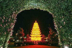 2025 익산천만송이 국화축제 6