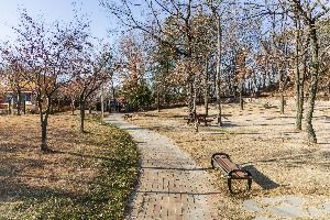 포항_포항댕댕동산 (3) 미리보기