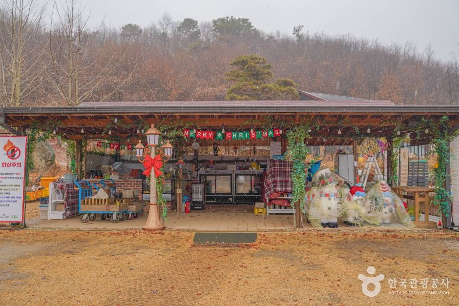 파주_헤이리농원 (4)