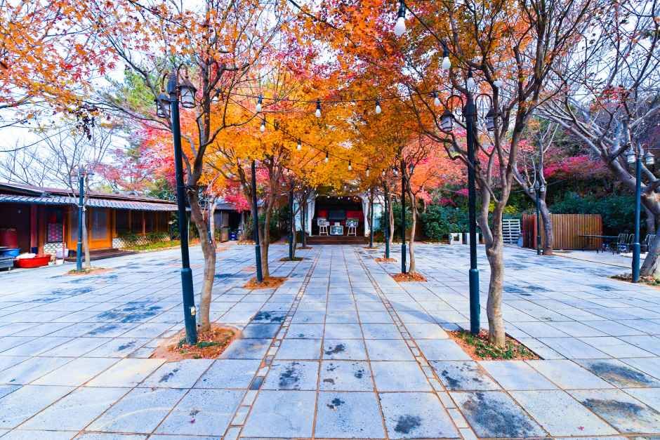 김해_산정 (5).jpg