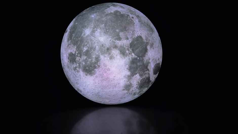 정글미디어파크