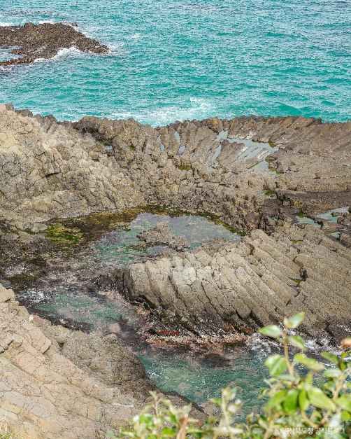 경주 양남 주상절리군