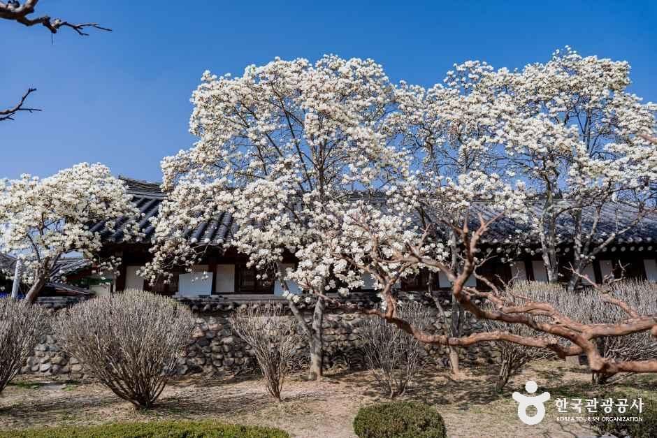 경북_경주_경주 오릉_외부_3.jpg