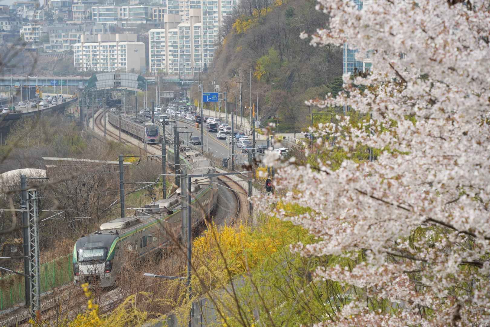 春の鷹峰山から望む 京元線
