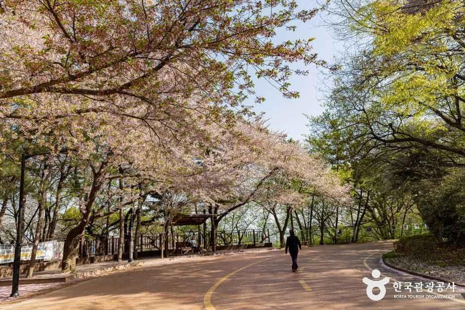 월미산