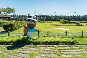 말 테마파크 골프장 (렛츠런파크 제주)