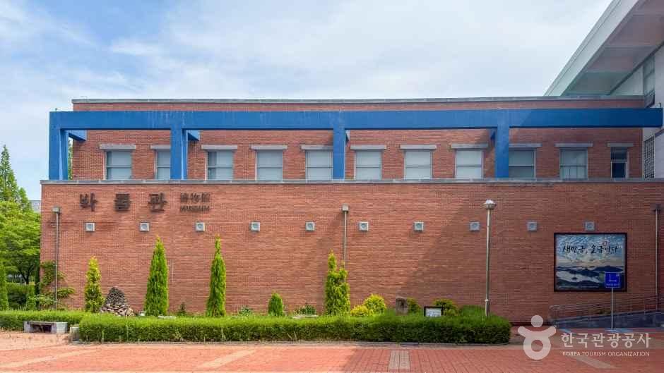 국립군산대학교 박물관 - 전북특별자치도 군산시 대학로 558 관광 명소