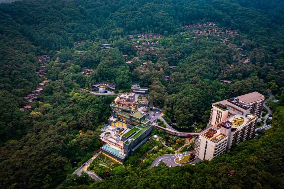 Forest Resom Have 9 Wellness Spa (포레스트 리솜 해브나인 웰니스 스파)