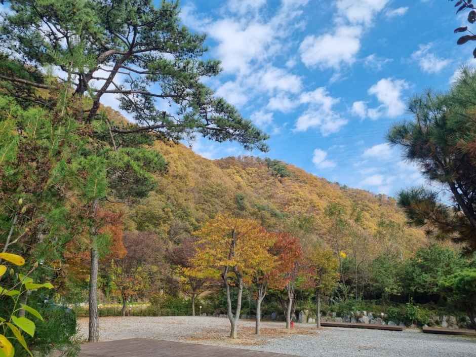 양평_수입리캠핑장 (1).jpg