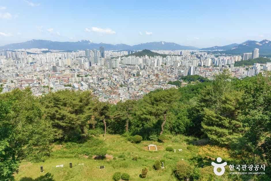 1종 보통 면허 갱신, 신체검사비 아끼는 꿀팁 있어요