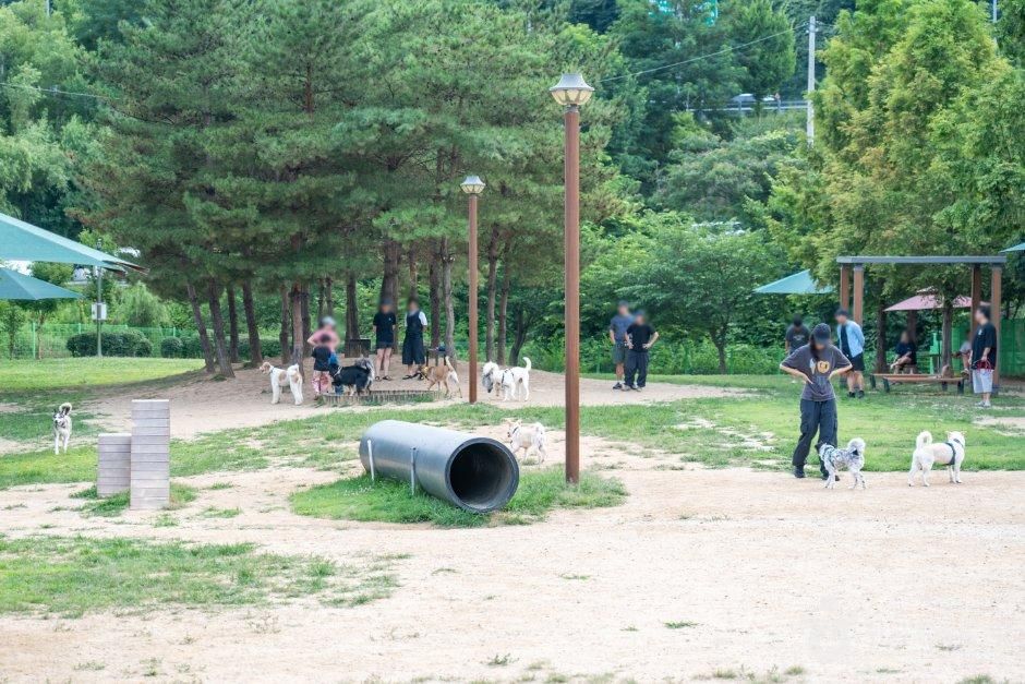삼막애견공원