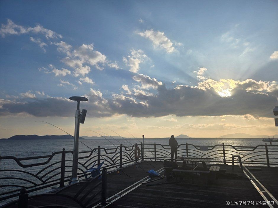 보성_득량만바다낚시공원 (3).jpg