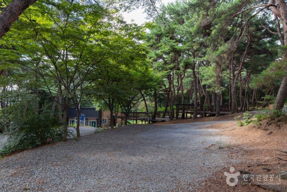 용봉산캠핑장