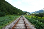 Jeongseon Railbike (정선레일바이크)