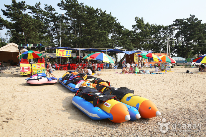 장경리해수욕장 장경리해수욕장