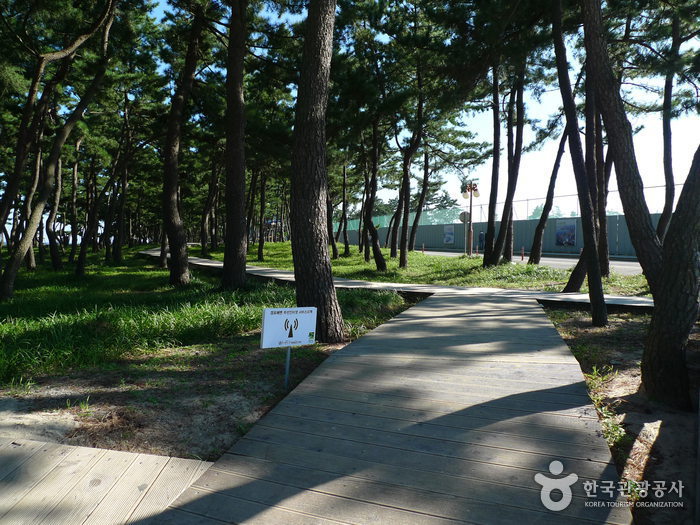 강릉 경포해변 강릉 경포해변