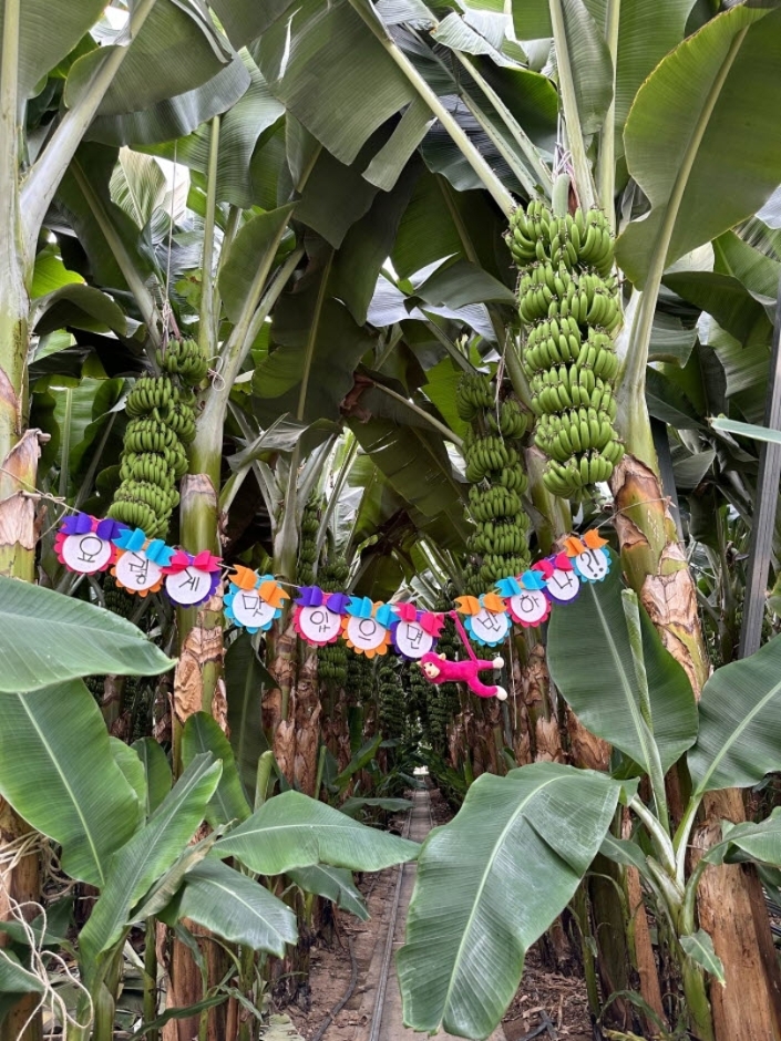 Dahyang Farm