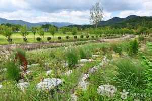 Haeundae Arboretum, an outdoor family place, stroller-friendly, in Busan