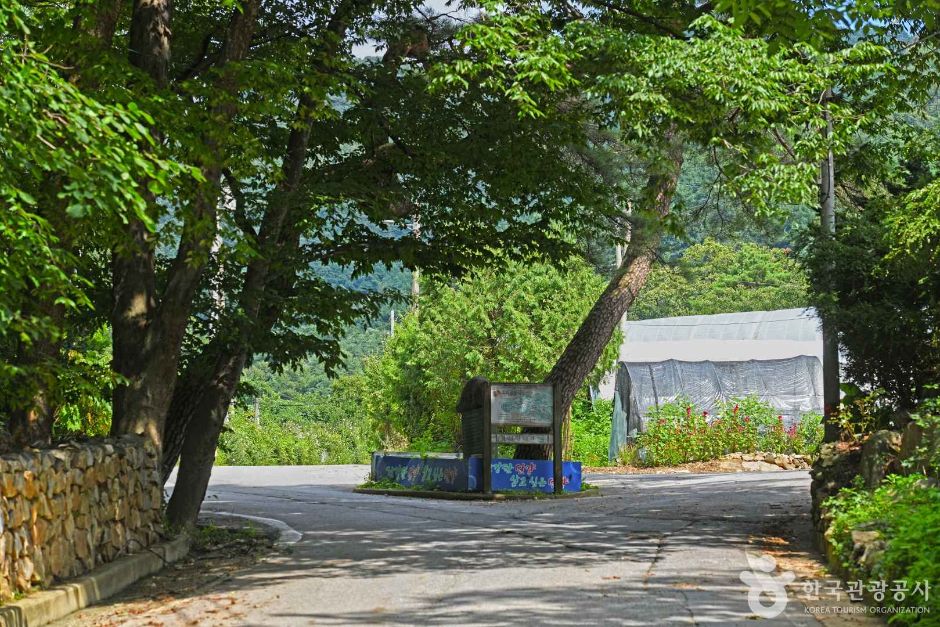小白山加里店村(马佐里村)