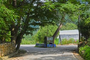 소백산 가리점마을(마조리마을)